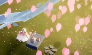 sky光遇茶桌多少 樱花茶座价格一览