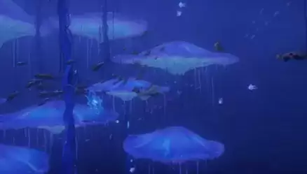 天谕手游浮鲸之愿任务完成攻略