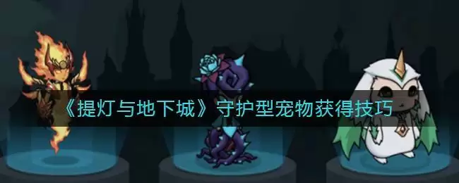 《提灯与地下城》守护型宠物获得技巧