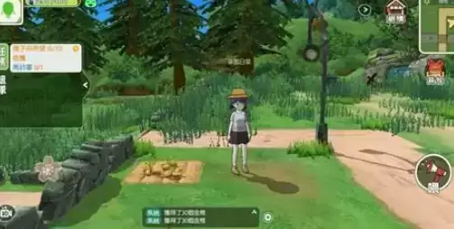 小森生活金鸡在哪里抓