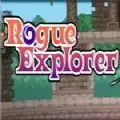 Rogue Explorer