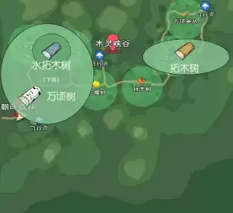 小森生活水拓木树哪里最多 水拓木树采集攻略