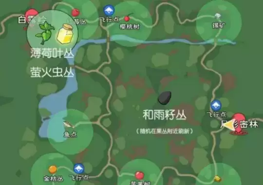 小森生活甲虫获取攻略 甲虫哪里最多