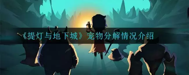 《提灯与地下城》宠物分解情况介绍