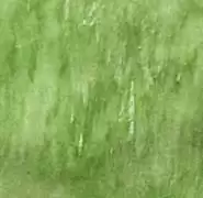 《希望之村》各环境资源产出汇总介绍