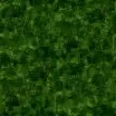 《希望之村》各环境资源产出汇总介绍