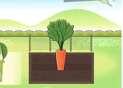 《幸运男孩》第20关通关攻略介绍