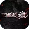 三国志魂斗罗
