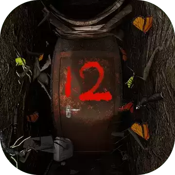 孙美琪疑案:12
