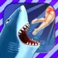 饥饿鲨进化8.4.2