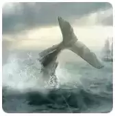 Moby Dick