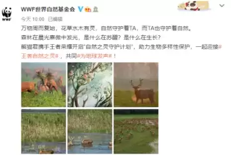 王者荣耀wwf联动皮肤是谁的 wwf联动皮肤详细介绍