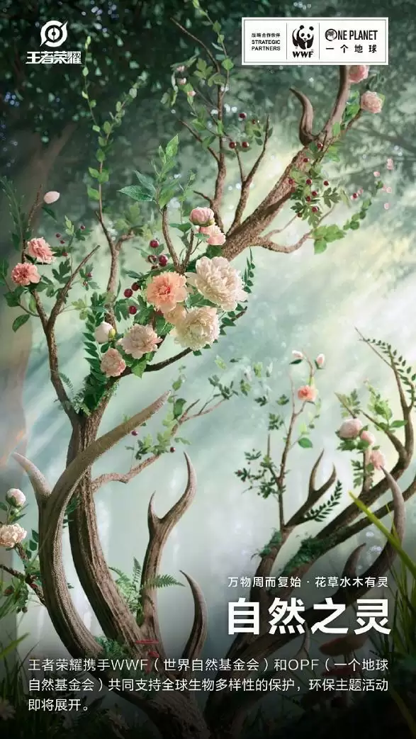 王者荣耀wwf联动皮肤是谁?wwf联动皮肤一览图片1