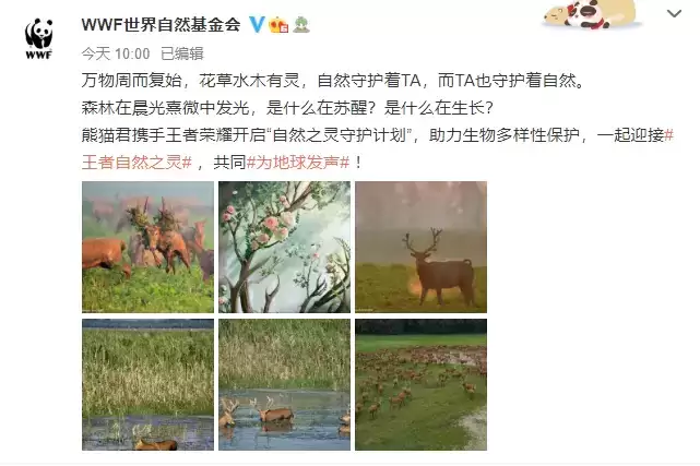 王者荣耀wwf联动皮肤是谁?wwf联动皮肤一览图片2