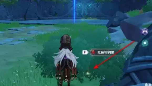 原神红色钩钩果在哪？红色钩钩果位置介绍图片6