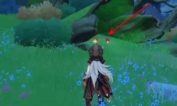 原神红色钩钩果在哪？红色钩钩果位置介绍图片4