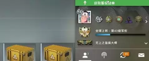 csgo2021服役勋章怎么得