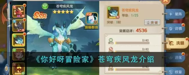 《你好呀冒险家》苍穹疾风龙介绍