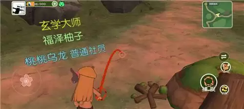 小森生活兔子捕捉教程