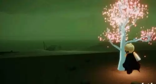 光遇小树苗在哪 光遇小树苗位置攻略