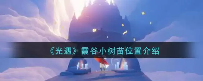《光遇》霞谷小树苗位置介绍