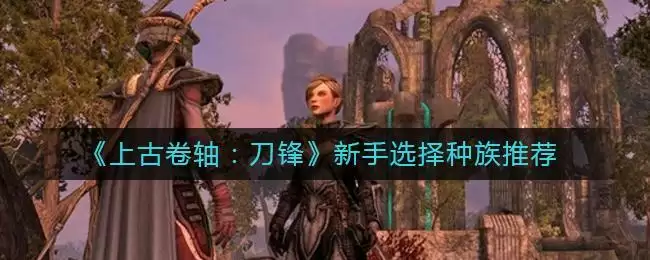 《上古卷轴：刀锋》新手选择种族推荐