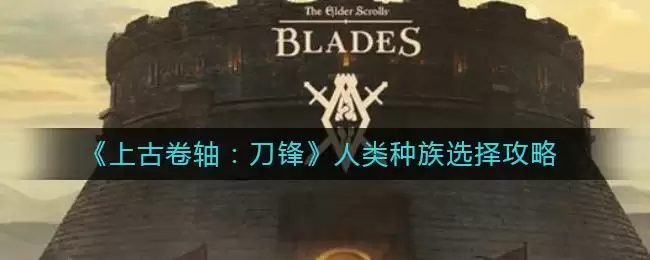 《上古卷轴：刀锋》人类种族选择攻略
