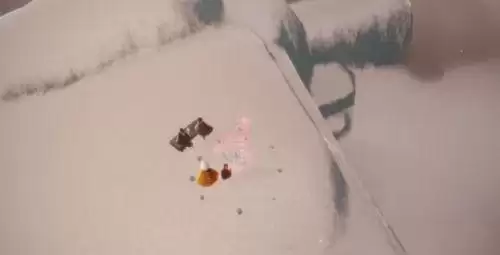 光遇霞谷樱花树在哪？霞谷樱花树位置介绍图片3