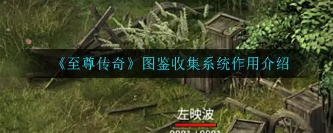 《至尊传奇》玩家pk竞技场玩法攻略