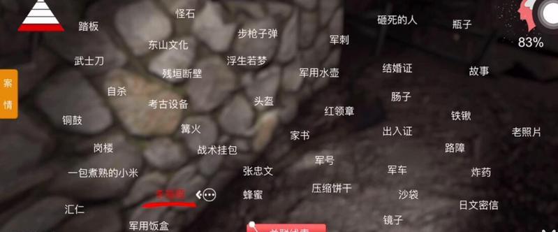《孙美琪疑案：浮生若梦》三级线索——研究