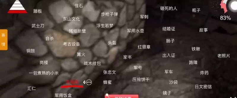 《孙美琪疑案:浮生若梦》三级线索——特殊敌人