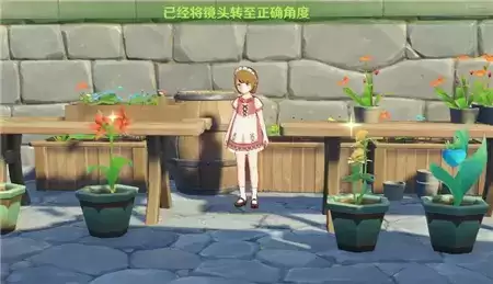 原神风花节研究报告留影任务完成攻略分享