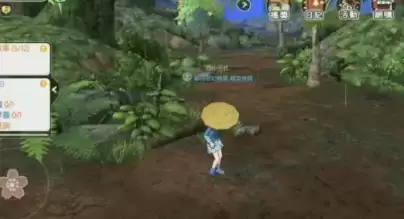 小森生活赤鬼甲虫位置及捕捉方法介绍