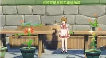 《原神》风花节研究报告留影任务完成攻略