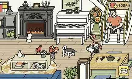 萌宅物语猫咪怎么喂食