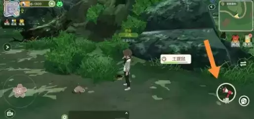 小森生活土拨鼠不出洞解决方法分享