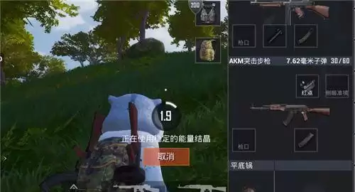 和平精英金刚结晶哥斯拉结晶怎么用？金刚结晶哥斯拉结晶用处介绍图片2