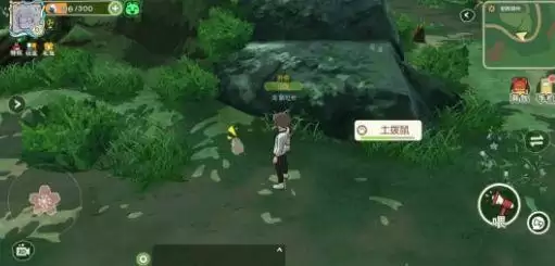 小森生活土拨鼠不出洞怎么办?土拨鼠捕猎技巧分享图片4