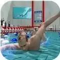 游泳锦标赛