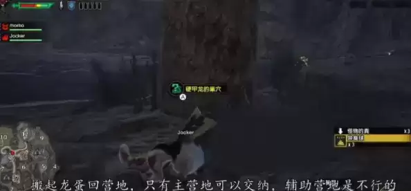 怪物猎人崛起硬甲龙的蛋任务位置介绍