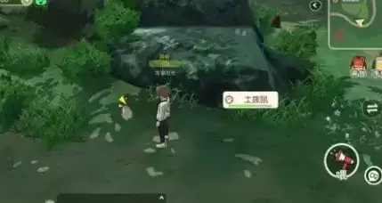 小森生活土拨鼠不出洞怎么办