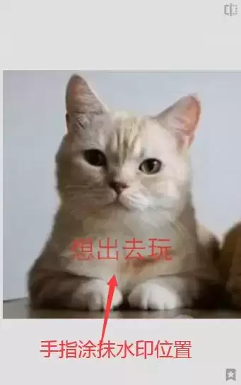 《snapseed》去水印方法介绍