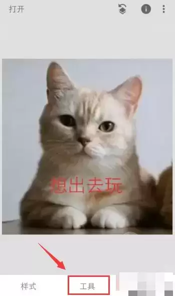 《snapseed》去水印方法介绍