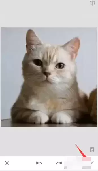 《snapseed》去水印方法介绍