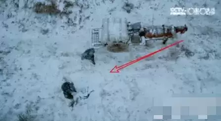 《咪咕视频》关闭弹幕方法介绍