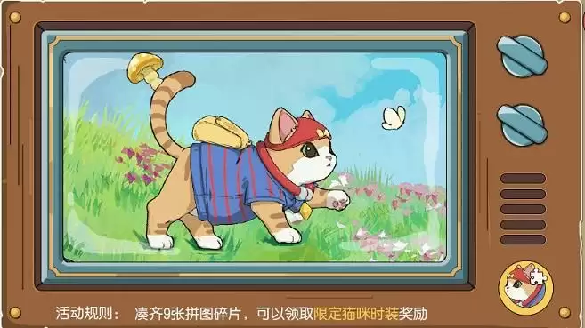小森生活猫咪选美大赛怎么参加？猫咪选美大赛奖励一览图片3