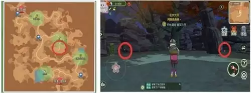 小森生活全部稀有虫点位置一览