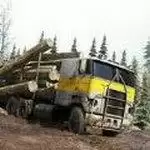 木材货运卡车手机