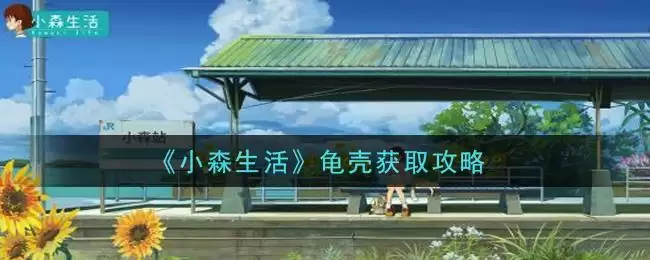 《小森生活》龟壳获取攻略