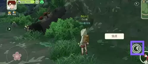 《​小森生活》捕虫网使用方法